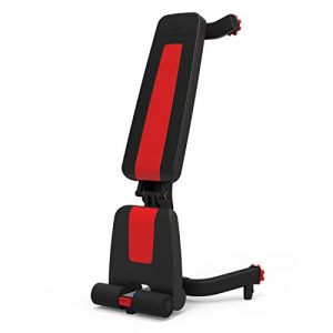 Bowflex 5.1S Adjustable & Stowable Bench