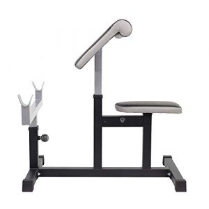 StrengthTech Fitness USA Made Adjustable Arm Preacher Curl Weight Bench | Fitness Gym Quality | Powder Coated Steel | Gray & Black