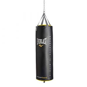 Everlast Powercore 80 Pound Boxing MMA Training Hanging Heavy Bag and Powder Coated Steel Heavy Bag Stand, Black