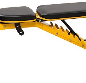 HulkFit Heavy Duty Adjustable and Foldable Utility Weight Bench for Upright, Incline, Decline, and Flat Exercise, 1000-Pound Capacity