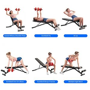 Weight Bench Foldable for Home, WHTOR Adjustable Workout Bench Gym Strength Training Exercise Incline Bench