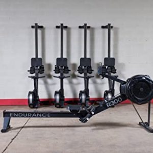 Body-Solid R300 Endurance Rower for Total Body Workout, Home and Commercial Gym