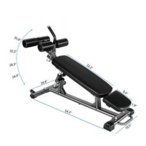 Neptunegym Sit Up Bench for AB Workout, Adjustable Bench with Handle, Semi-Commercial Incline Bench Press, Core Workout Bench for Home，Abdominal Exercise Bench