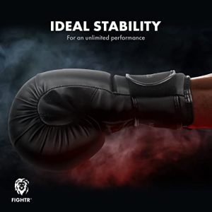 FIGHTR® Boxing Gloves - Ideal Stability & Impact Strength | Punching Gloves for Boxing, MMA, Muay Thai, Kickboxing & Martial Arts | Includes Carry Bag (All Black, 12 oz)