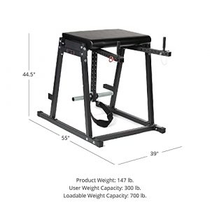 Titan Fitness Economy H-PND, Hyperextensions Lower Body Machine, Rated 700 LB, Specialty Home Gym Machine