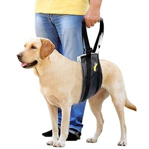HeoBam Dog Portable Lift Harness Support Sling/Old Dogs/Assisted Rehabilitation Rear Legs Walking Aid/Help Relieve The Joint Damage and Arthritis Caused by The Loss of ACL/Adjustable/Black/Large