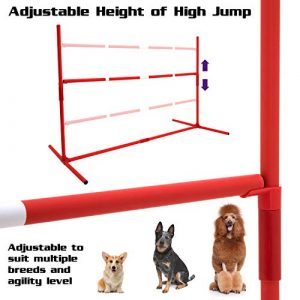 SPORT PET Designs Agility Training for Dogs - Affordable Training Kit for Dogs, red (CM-10026-CS01)