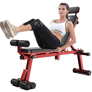 Weight Bench Adjustable, Foldable Workout Bench, Strength Training Bench Incline Decline Bench Lifting Exercise for Home Gym