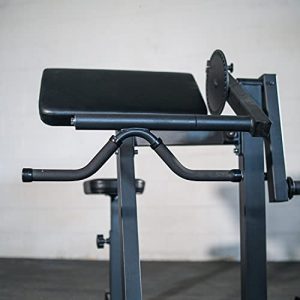 Titan Fitness Bicep Tricep Curl Machine