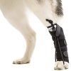 Walkin' Rear No-Knuckling Training Sock | Helps Dogs Pick up Their Feet When Knuckling Under or Dragging Their Rear Paws