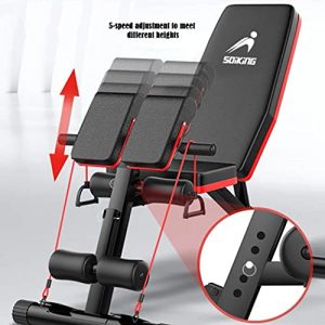 Roman Chair Adjustable AB Sit Up Bench - Back Hyperextension Bench Strength Training Back Machines Multi-Functional Weight Bench Decline Bench Flat Bench