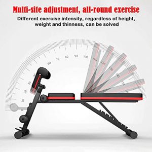 Roman Chair Adjustable AB Sit Up Bench - Back Hyperextension Bench Strength Training Back Machines Multi-Functional Weight Bench Decline Bench Flat Bench