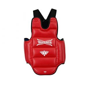 Twister Reversible(Blue/RED) Chest Guard Protector for Boxing Karate Taekwondo Muay Thai (Large)