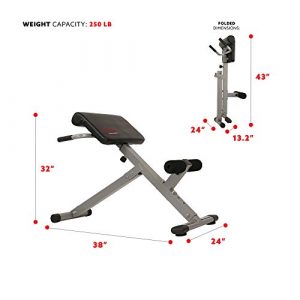 Sunny Health & Fitness SF-BH6629 45 Degree Hyperextension Roman Chair