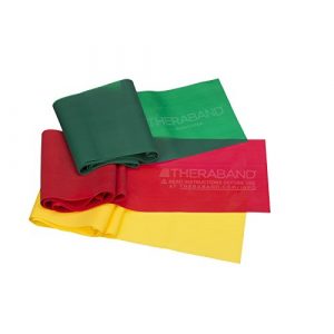 TheraBand Resistance Bands Set, Professional Non-Latex Elastic Band For Upper & Lower Body Exercise, Strength Training without Weights, Physical Therapy, Pilates, Rehab, Yellow & Red & Green, Beginner