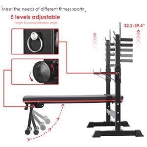 AthLike Folding & Adjustable Bench Press Bench Set, Multi-Function Weight Bench Set, Strength Training Bench with Squat Rack Set, for Incline/Decline, Sit-Ups, Full-Body Exercise, Home, Gym