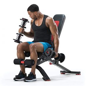 Bowflex 5.1S Adjustable & Stowable Bench