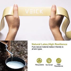 VEICK Resistance Bands, Pull Up Assistance Bands, Workout Exercise Bands, Long Resistance Bands Set for Men and Women, Elastic Bands for Stretch, Power Weighted Gyms at Home Fitness Equipment