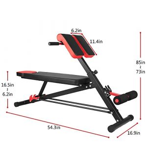 Neptunegym Multi-Functional Weight Bench Equipment Back Extension Ab Exercise Adjustable Fitness Workout Sets for Men Women Full Body Workout Sit up Decline Flat Bench Gym Black & Red Roman Chair