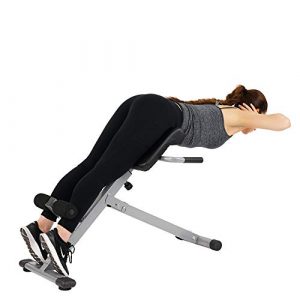 Sunny Health & Fitness SF-BH6629 45 Degree Hyperextension Roman Chair