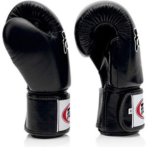 Fairtex BGV1 Muay Thai Boxing Training Sparring Gloves