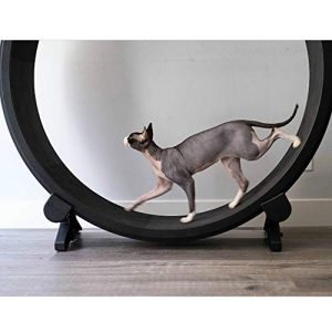 Dog Treadmill, Pet Cat Exercise Wheel Running Spinning Toy Silent cat Treadmill with Non-Slip Track Smooth Run Freely for Small/Medium-Sized Dogs Indoor Exercise