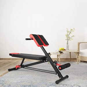 Neptunegym Multi-Functional Weight Bench Equipment Back Extension Ab Exercise Adjustable Fitness Workout Sets for Men Women Full Body Workout Sit up Decline Flat Bench Gym Black & Red Roman Chair