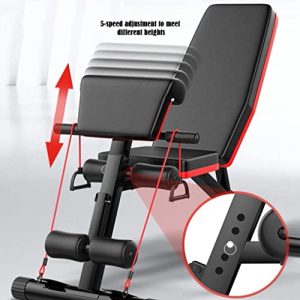 Weight Bench for Full All-in-One Body Workout – Hyper Back Extension, Multi-Functional Roman Chair, Adjustable Ab Sit up Bench, Decline Bench, Flat Bench