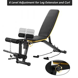 ZENOVA Weight Bench, Multi-Purpose Workout Bench Adjustable Incline Decline Exercise Bench with Leg Curl and Extension, Home Gym Strength Training Bench (Yellow Line)