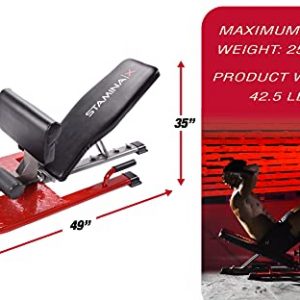 Stamina X 4-in-1 Strength Training Station - Smart Workout App No Subscription Required - for Sit Ups Push Ups Back Extensions and Assisted Squats