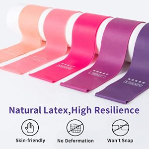 Resistance Bands Elastic Exercise Latex Loop Bands （Set of 5） for Men Women YWQL Workout Bands with Instruction Guide and Carry Bag Stretch Fitness Bands for Home Gym Weights Squats Yoga