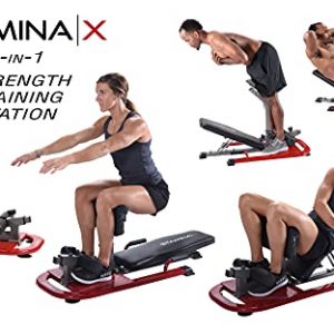 Stamina X 4-in-1 Strength Training Station - Smart Workout App No Subscription Required - for Sit Ups Push Ups Back Extensions and Assisted Squats