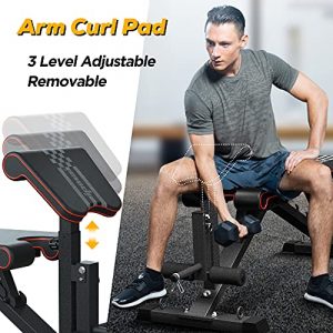 IPOW Adjustable Workout Weight Bench Exercise Bench Gym Bench Utility Weight Lifting Bench 1000 Lbs User Capacity Adjustable Arm Curl Pad 6 Backrest & 3 Seat System Brings Incline Decline Flat Position