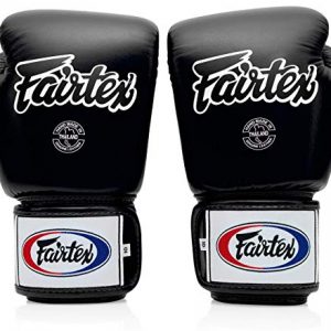 Fairtex BGV1 Muay Thai Boxing Training Sparring Gloves