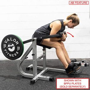 Valor Fitness DE-5 Ab/Back Machine to Strengthen Lower Back and Core