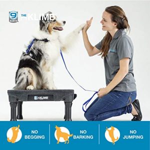 Blue-9 Klimb Training Kit, Professionally Designed Dog Platform and Accessories for Training and Agility and Accessories, Black