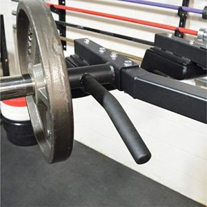 Titan Fitness Leverage Squat Machine Quads Glutes Hamstrings Lower Body