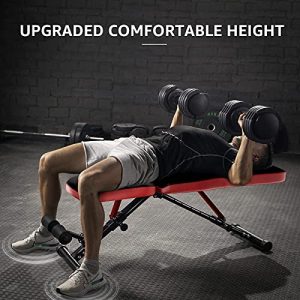 FLYBIRD Workout Bench, Adjustable Weight Bench Foldable Strength Training Bench for Home Gym - Newly Upgraded