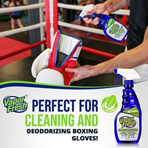 Vapor Fresh Natural Sports Cleaning and Deodorizing Spray for Gym Equipment, Yoga Mats, Boxing Gloves and Sports Pads, 16 Ounces (1-Pack)