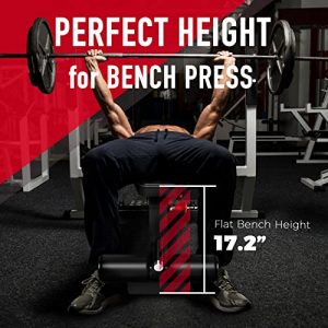 Keppi Bench1000 Weight Bench-Adjustable Workout Bench Press Set for Home Gym Strength Training,Incline Decline Flat Sit Up Bench for Full Body Fitness - 2022 Version