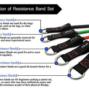 TheFitLife Exercise Resistance Bands with Handles - 5 Fitness Workout Bands Stackable up to 110 / 150 lbs, Training Tubes with Large Handles, Ankle Straps, Door Anchor Attachment, Carry Bag (110 LBS)