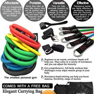 TheFitLife Exercise Resistance Bands with Handles - 5 Fitness Workout Bands Stackable up to 110 / 150 lbs, Training Tubes with Large Handles, Ankle Straps, Door Anchor Attachment, Carry Bag (110 LBS)