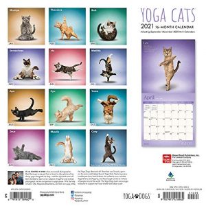 Yoga Cats OFFICIAL 2021 12 x 12 Inch Monthly Square Wall Calendar, Animals Humor Cat