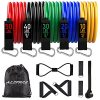 Resistance Bands, Resistance Band Set, Workout Bands, Exercise Bands for Men and Women, Exercise Bands with Door Anchor, Handles, Legs Ankle Straps for Muscle Training, Physical Therapy, Shape Body