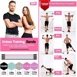 Resistance Bands with Handles - 11Piece Workout Band Set for Women - Carrying Bag Included – Non-Slip Work Out Booty Bands - Heavy Duty Fitness Bands for Butt Legs Exercise (Pink100lbs/gift Box)