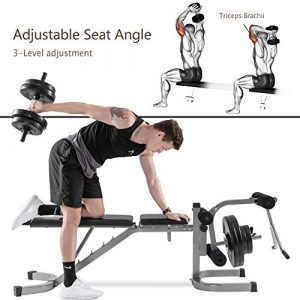 Merax Weight Bench with Leg Extension - 6+3 Positions Adjustable Olympic Utility Benches with Preacher Curl 2020 Upgrade Design