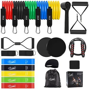 Resistance Bands Set 23pcs, Resistance Band, Exercise Bands Fitness Workout with Wide Handles, Door Anchor, Steel Clasp, Carry Bag, Ankle Straps for Home Gym Outdoor Travel
