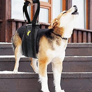 HeoBam Dog Portable Lift Harness Support Sling/Old Dogs/Assisted Rehabilitation Rear Legs Walking Aid/Help Relieve The Joint Damage and Arthritis Caused by The Loss of ACL/Adjustable/Black/Large