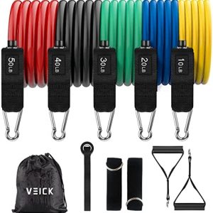 VEICK Resistance Bands Set, Exercise Bands, Workout Bands, Fitness Bands, Resistance Bands with Handles for Men, Weights for Women at Home, Strength Training Equipment for Working Out