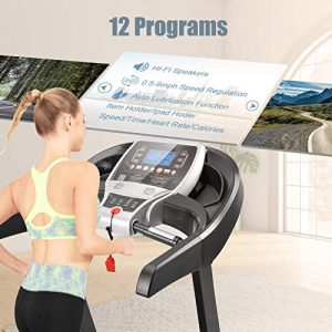 Treadmills for Home, 3.25HP Folding Treadmill with Incline, Fitness APP, 300lb Capacity Walking Running Exercise Machine with Smart Shock-Absorbing System, 9.0MPH,12 Programs, Bluetooth Speaker